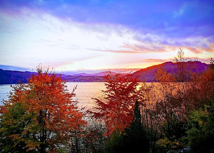 Sunrise - Self Check In - Free Parking 公寓