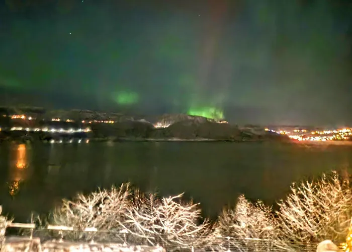 公寓 Sunrise - Self Check In - Free Parking 卑爾根