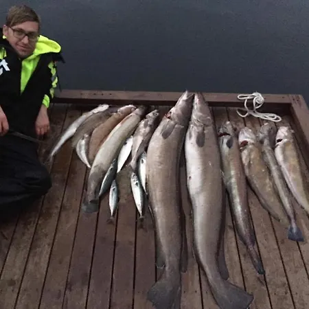 아파트 Sunrise - Self Check In - Free Parking 베르겐