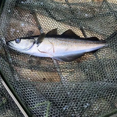 Sunrise - Self Check In - Free Parking * ベルゲン