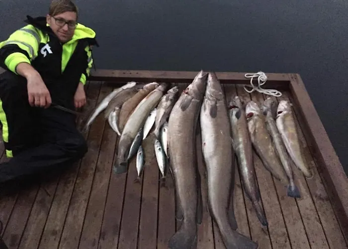 Apartamento Sunrise - Self Check In - Free Parking Bergen