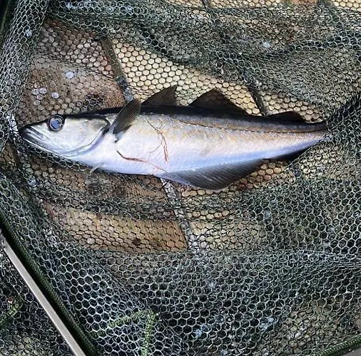 Sunrise - Self Check In - Free Parking * Bergen